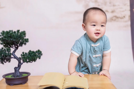 哈尔滨可爱的企鹅宝宝